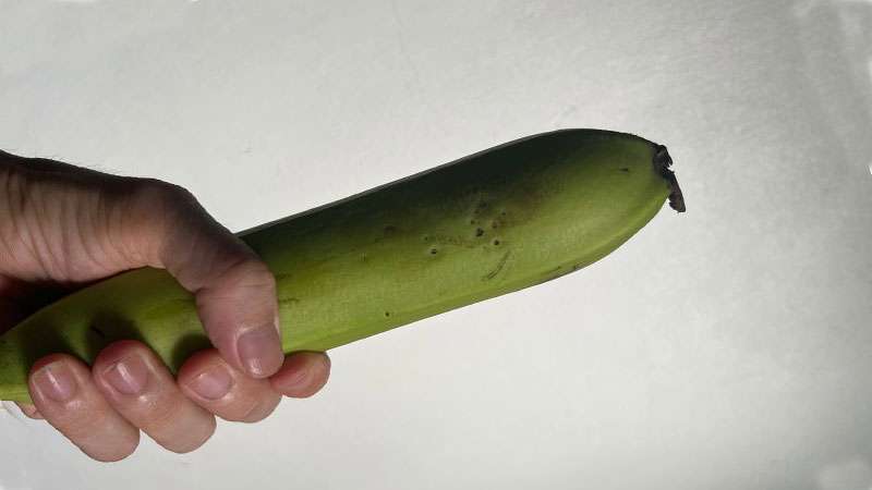 Tự thủ dâm bằng tay